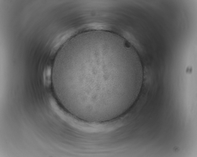 X0000114220014200910091358