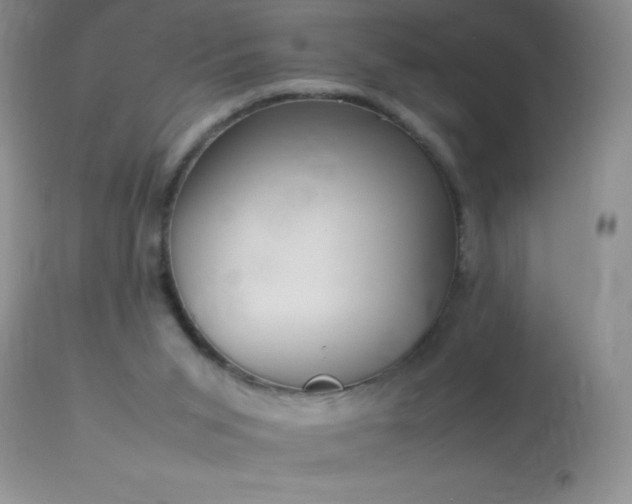 X0000114220015200910091358