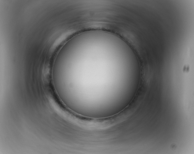 X0000114220016200910091358