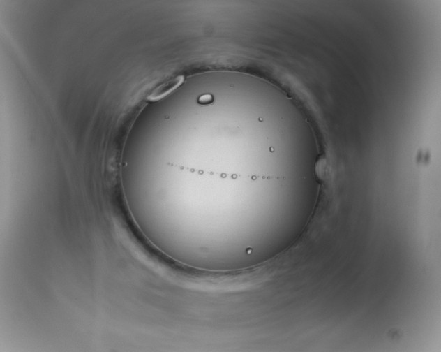 X0000114220017200910091358