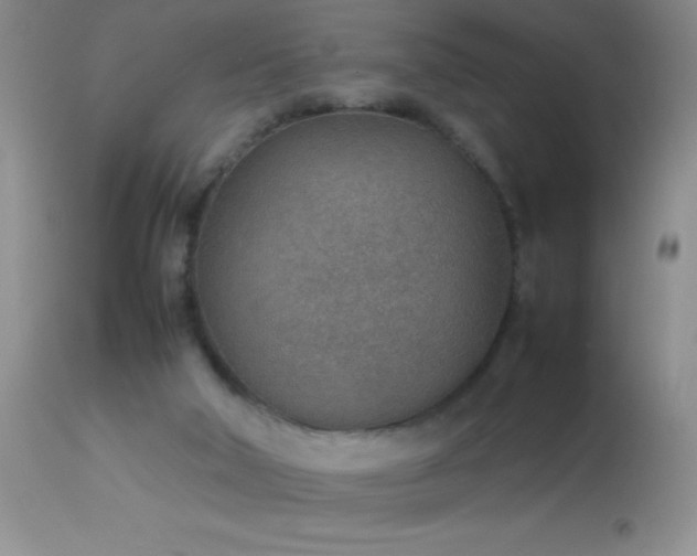 X0000114220018200910091358