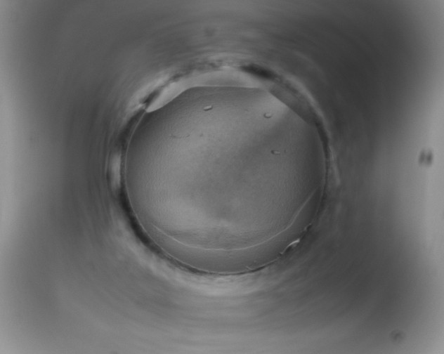 X0000114220019200910091358