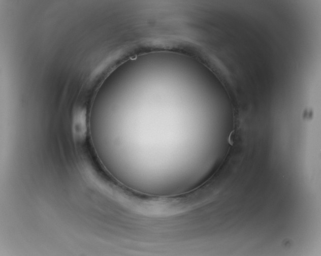 X0000114220020200910091358