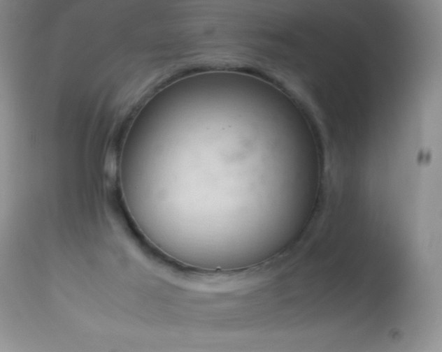 X0000114220021200910091358