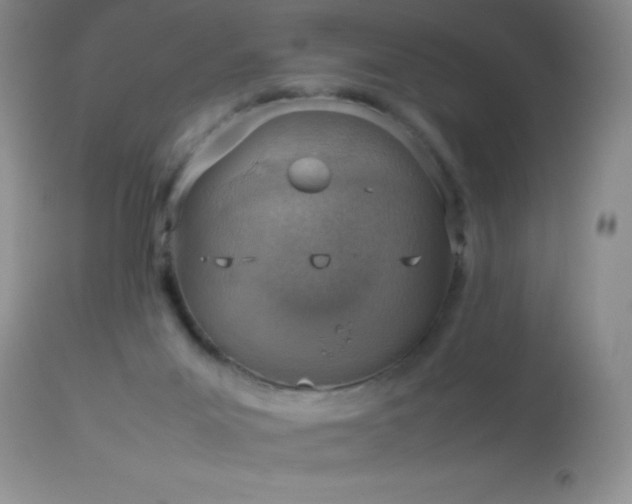 X0000114220023200910091358