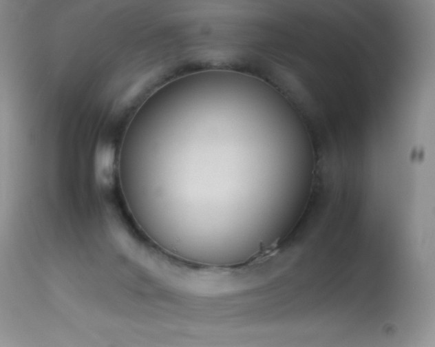 X0000114220024200910091358