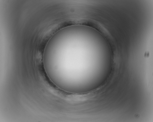 X0000114220025200910091358