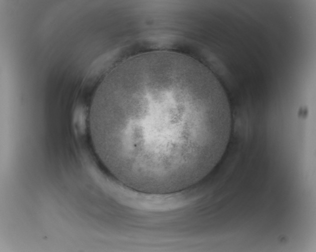 X0000114220026200910091358