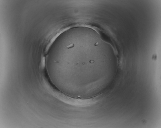 X0000114220027200910091358