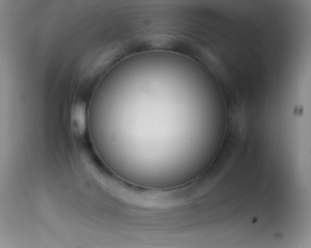 X0000114220028200910091358