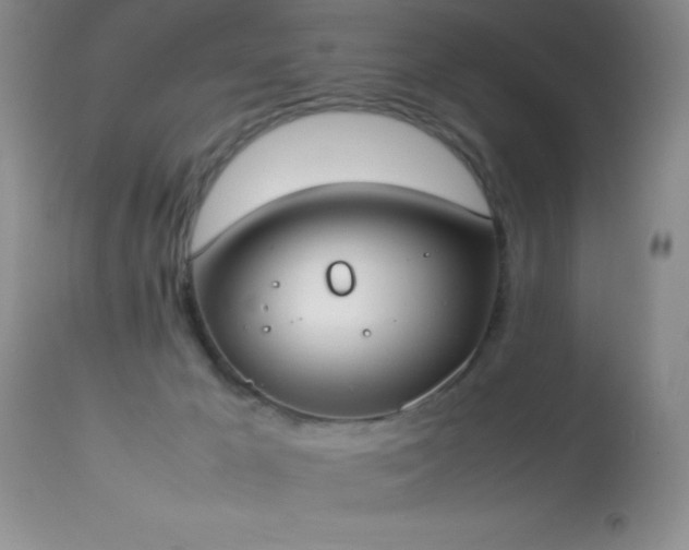 X0000114220029200910091358