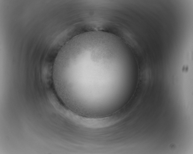 X0000114220030200910091358