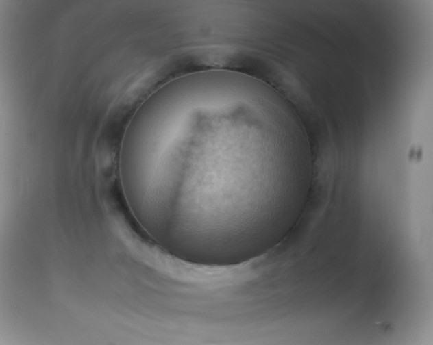 X0000114220031200910091358