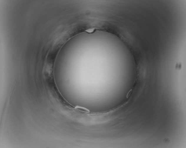 X0000114220033200910091358