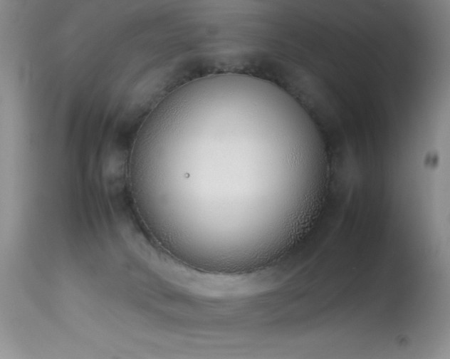 X0000114220034200910091358