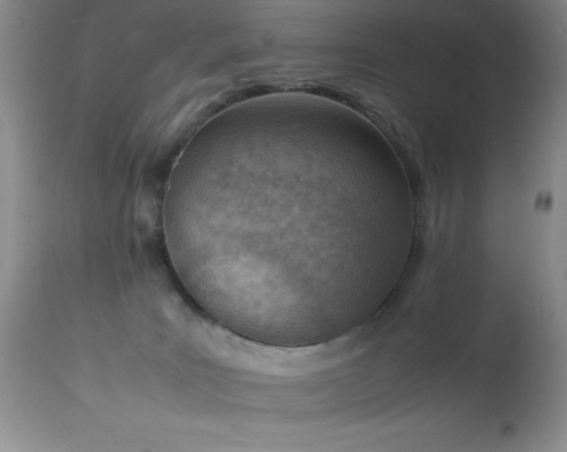 X0000114220035200910091357