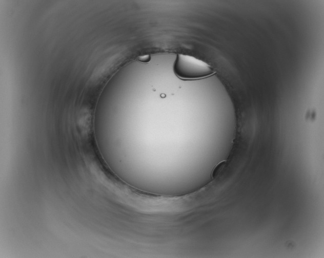 X0000114220036200910091357