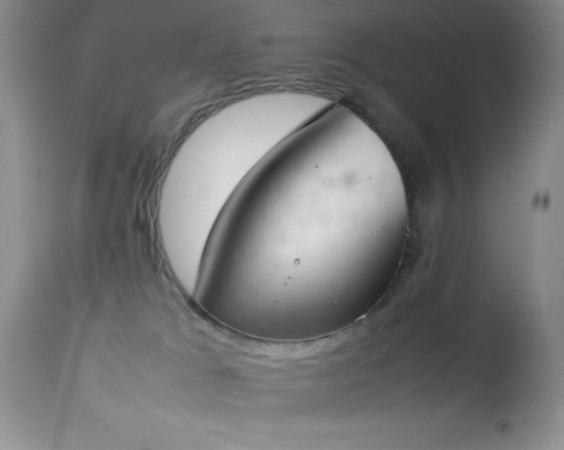 X0000114220037200910091357