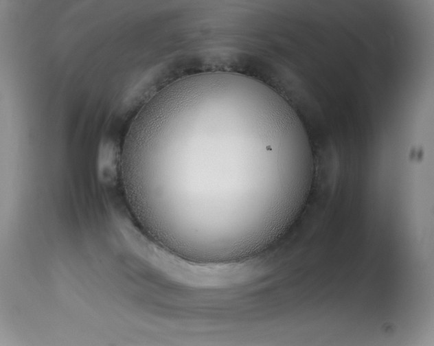 X0000114220038200910091357