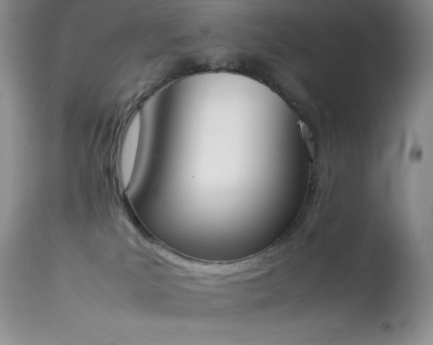 X0000114220039200910091357