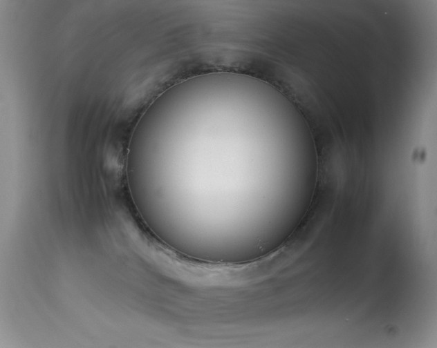 X0000114220040200910091357