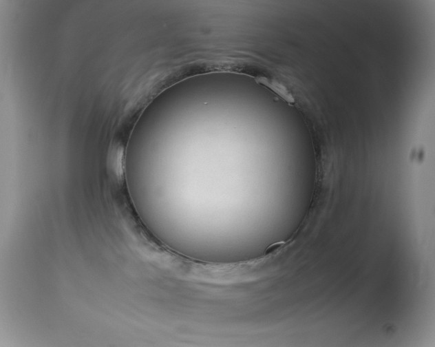 X0000114220041200910091357