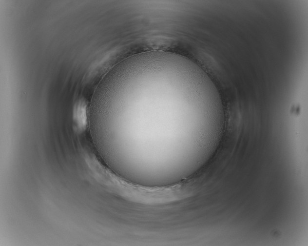 X0000114220042200910091357