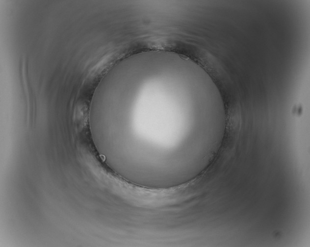 X0000114220043200910091357