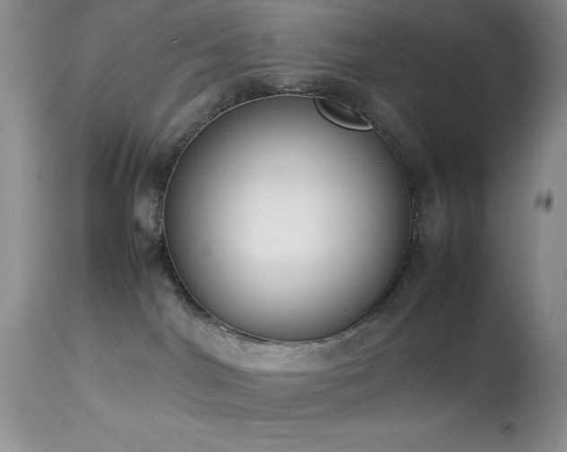 X0000114220044200910091357