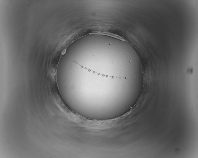 X0000114220045200910091357