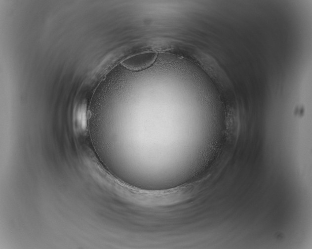 X0000114220046200910091357