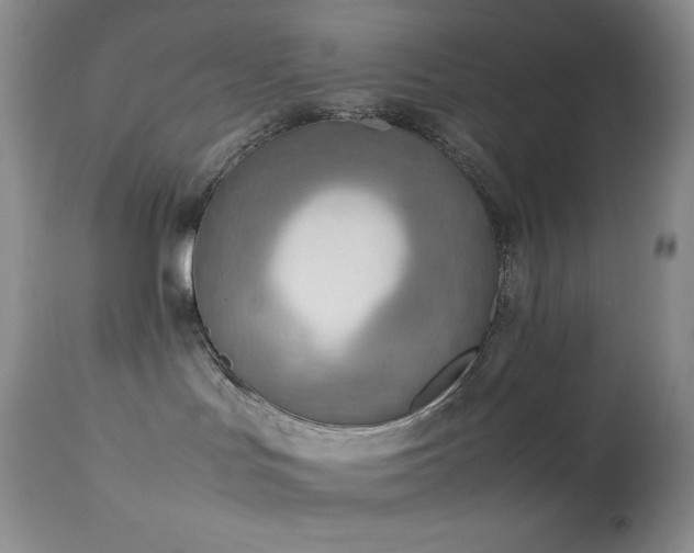 X0000114220047200910091357