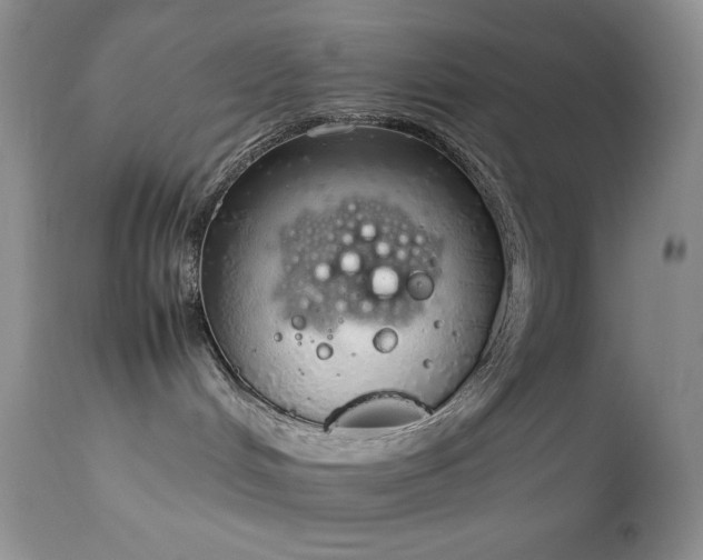 X0000114220048200910091357