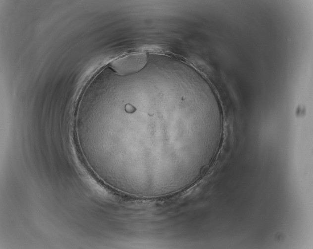 X0000114220049200910091357