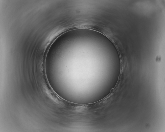 X0000114220050200910091357