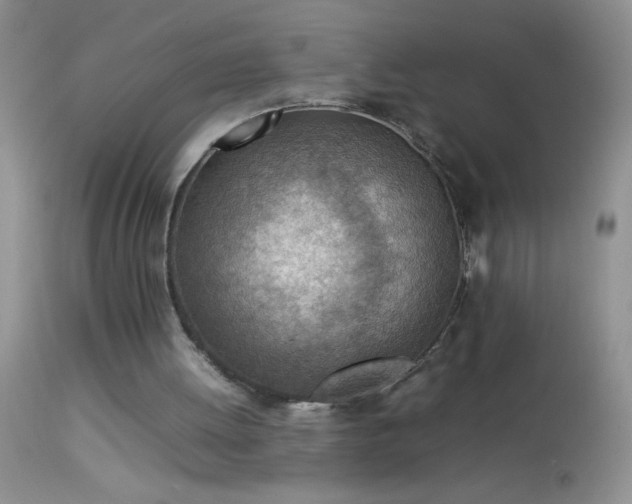 X0000114220052200910091357