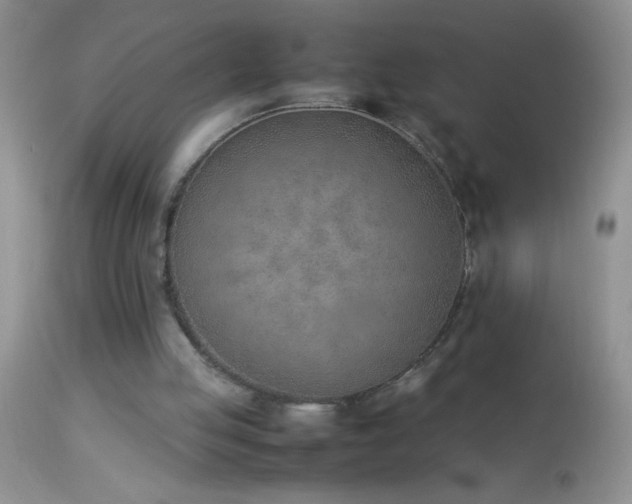 X0000114220053200910091357