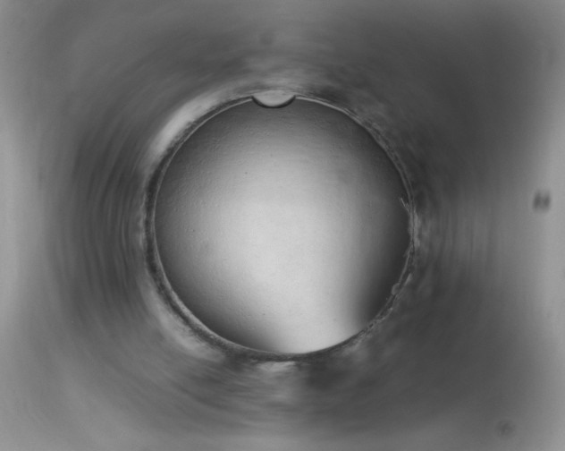 X0000114220054200910091357