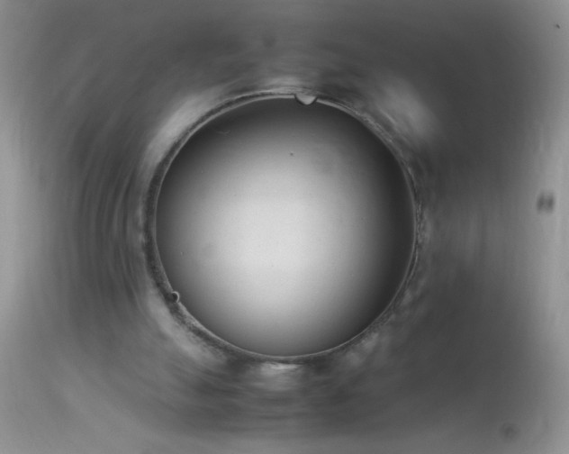 X0000114220055200910091357