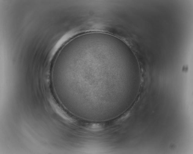 X0000114220056200910091357