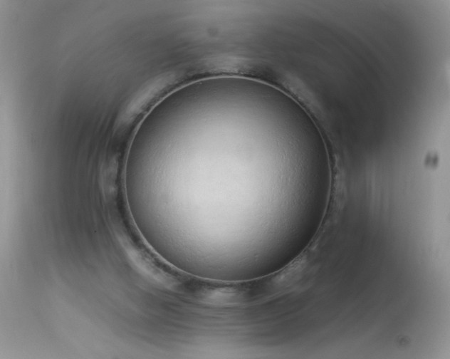 X0000114220058200910091357