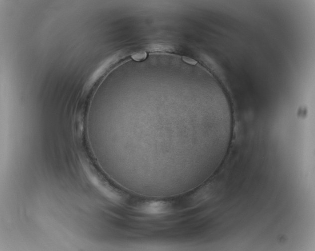 X0000114220059200910091357