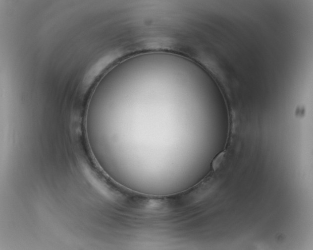 X0000114220060200910091357