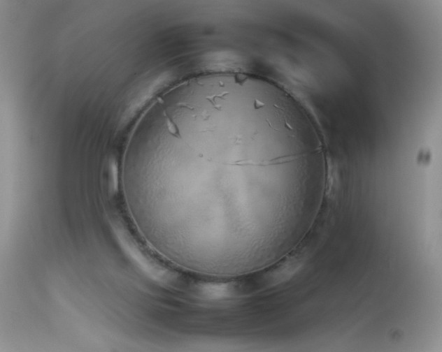 X0000114220061200910091357