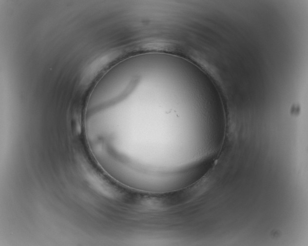 X0000114220062200910091357