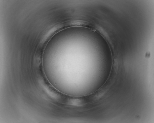 X0000114220063200910091357