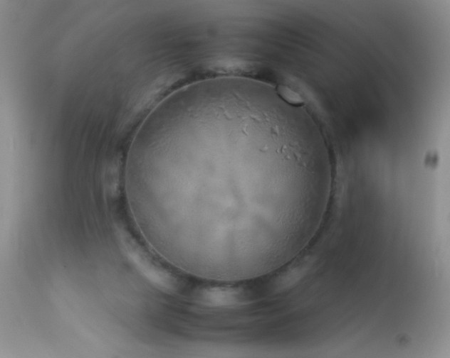 X0000114220065200910091357