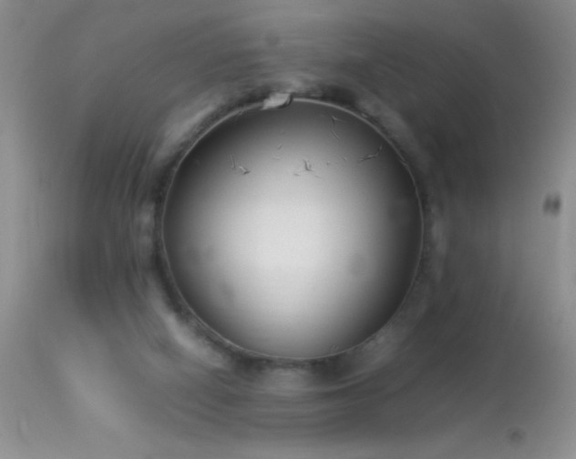 X0000114220066200910091357