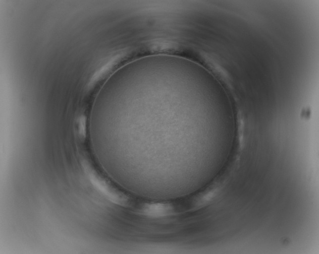 X0000114220067200910091357