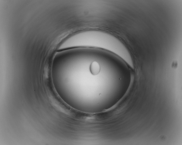 X0000114220068200910091357